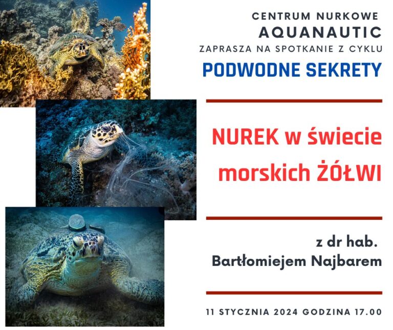 blog nurkowy - Aquanautic