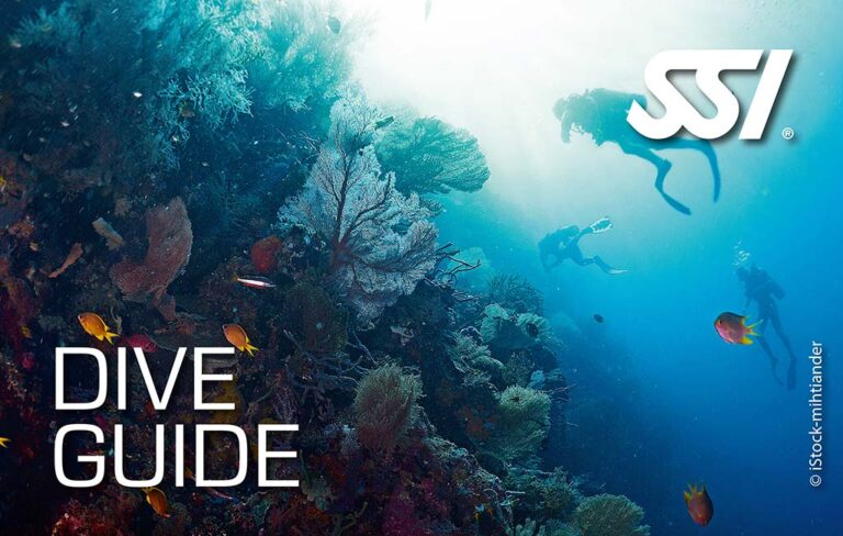 SSI - Dive Guide. Kurs Przeowodnika Nurkowego