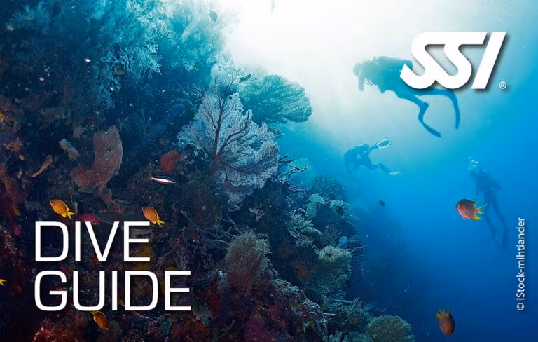 SSI - Dive Guide. Kurs Przeowodnika Nurkowego