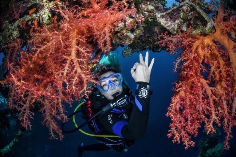 ubezpieczenia nurkowe - Aquanautic