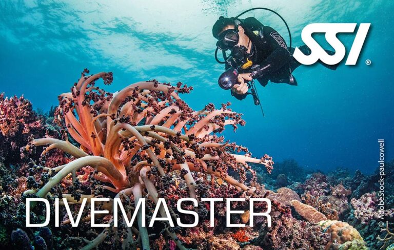 SSI Divemaster. Kurs Profesjonalnego Przewodnika Nurkowego.