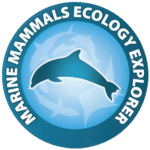 nurkowanie dla dzieci - Aquanautic