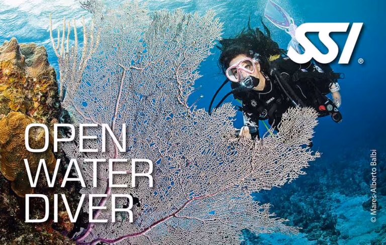 Podstawowy Kurs Nurkowania - SSI Open Water Diver
