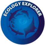 nurkowanie dla dzieci - Aquanautic