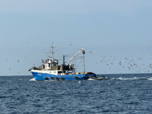 nurkowanie w chorwacji - Aquanautic