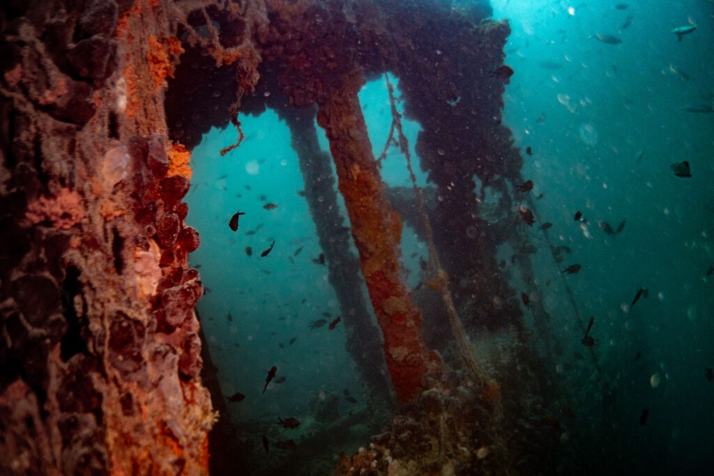 nurkowanie w chorwacji - Aquanautic