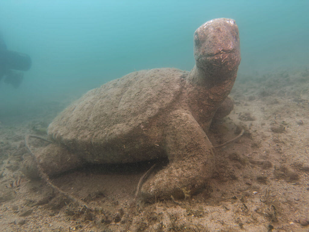nurkowanie w chorwacji - Aquanautic