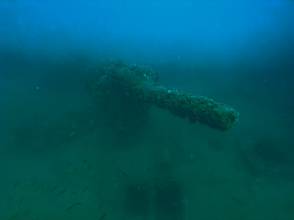 nurkowanie w chorwacji - Aquanautic