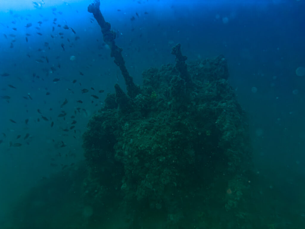 nurkowanie w chorwacji - Aquanautic