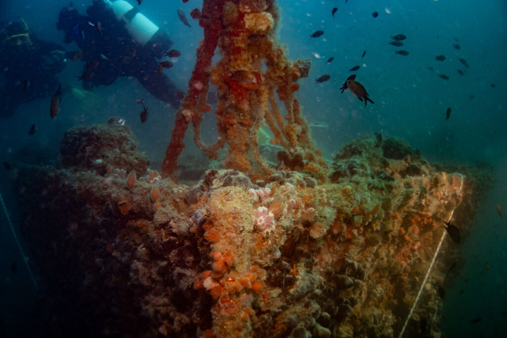 nurkowanie w chorwacji - Aquanautic