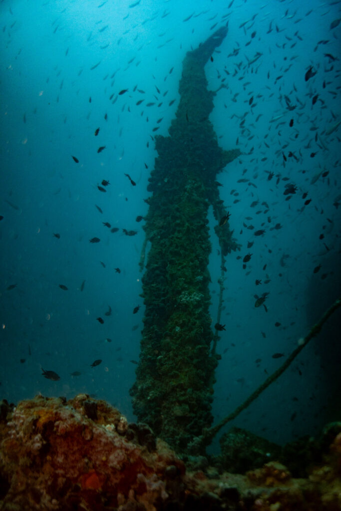 nurkowanie w chorwacji - Aquanautic