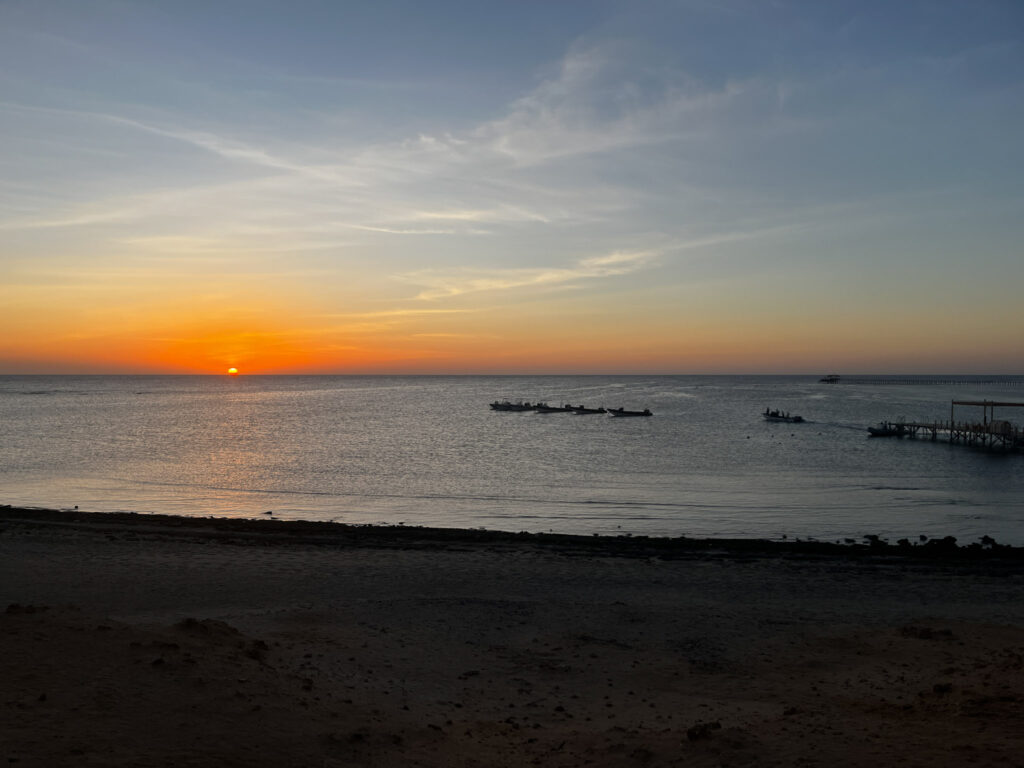 nurkowanie w Egipcie - Aquanautic