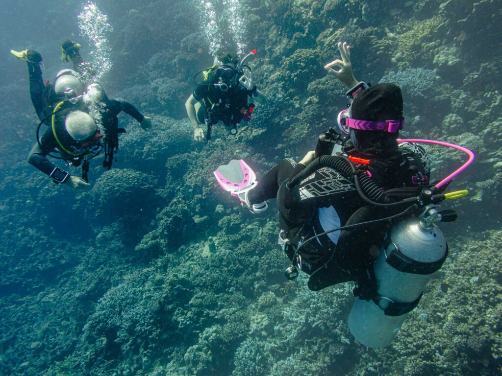 Kurs SSI Divemaster. Profesjonalny Przewodnik Nurkowy. Centrum Nurkowe Aquanautic, Zielona Góra