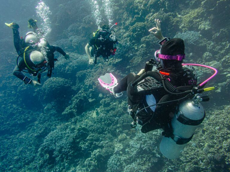 Kurs SSI Divemaster. Profesjonalny Przewodnik Nurkowy. Centrum Nurkowe Aquanautic, Zielona Góra