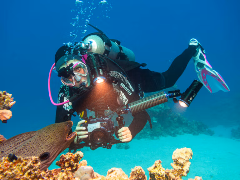 Kurs Fotografii Podwodnej - SSI Photo & Video. Centrum Nurkowe Aquanautic, Zielona Góra