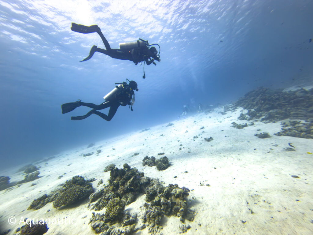 nurkowanie w Egipcie,Dahab - Aquanautic