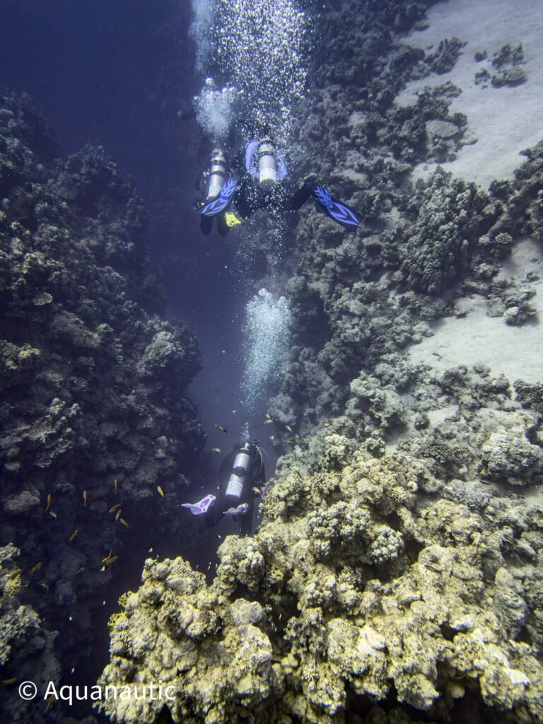 nurkowanie w Egipcie,Dahab - Aquanautic