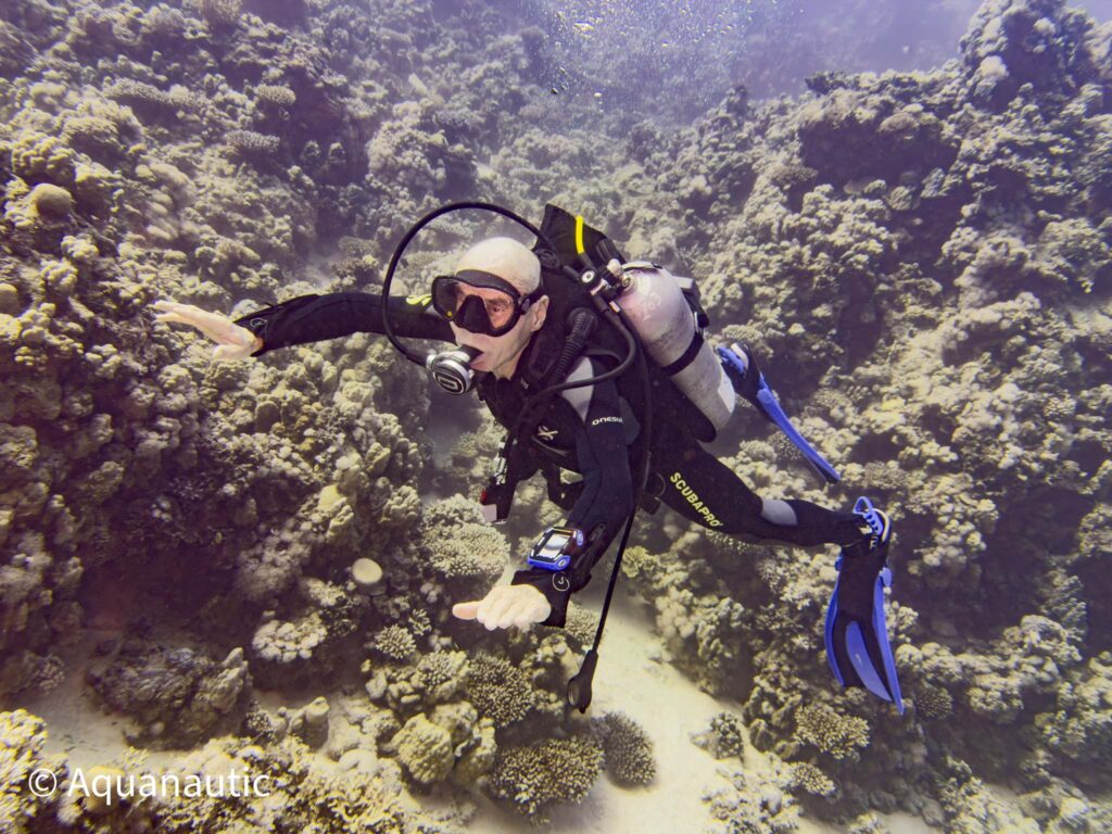 nurkowanie w Egipcie,Dahab - Aquanautic