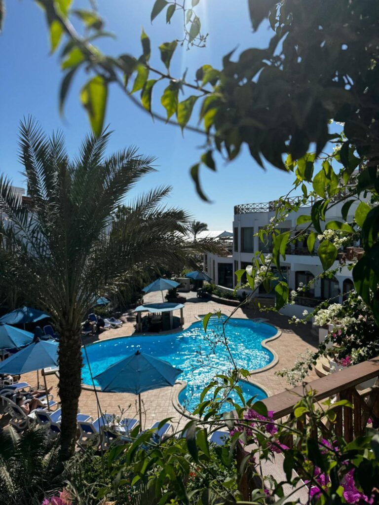 nurkowanie w Egipcie,Dahab - Aquanautic