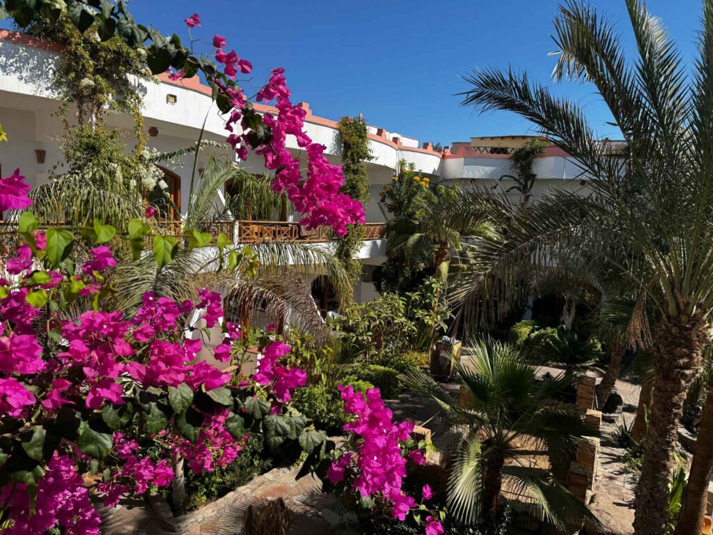 nurkowanie w Egipcie,Dahab - Aquanautic