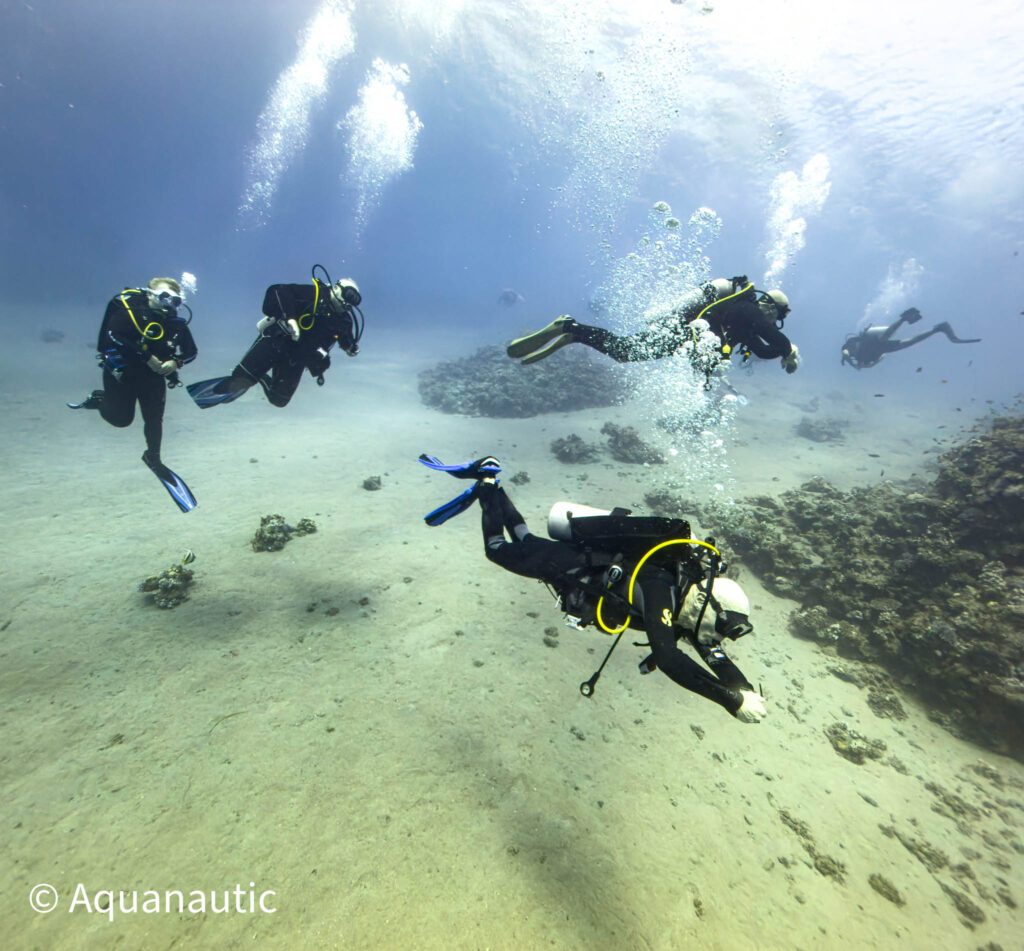 nurkowanie w Egipcie,Dahab - Aquanautic