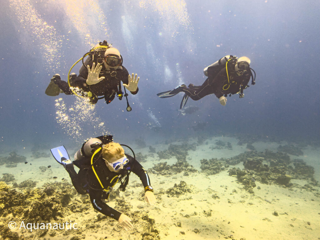 nurkowanie w Egipcie,Dahab - Aquanautic