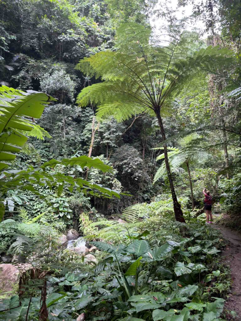 Filipiny,nurkowanie na filipinach - Aquanautic