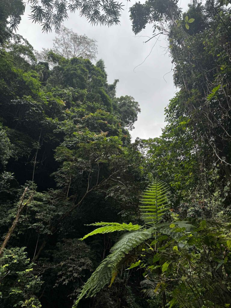 Filipiny,nurkowanie na filipinach - Aquanautic