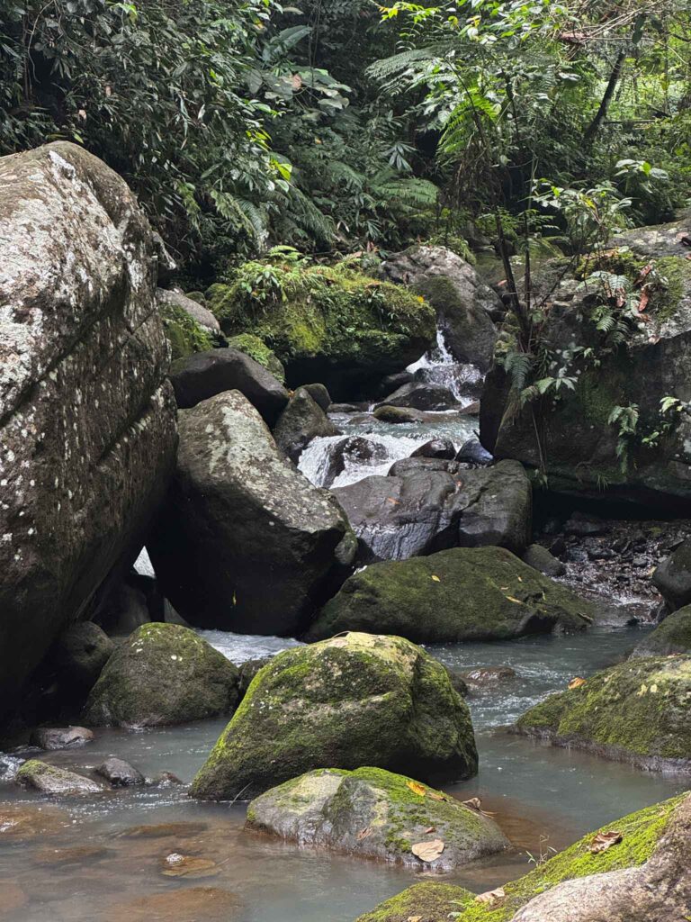 Filipiny,nurkowanie na filipinach - Aquanautic