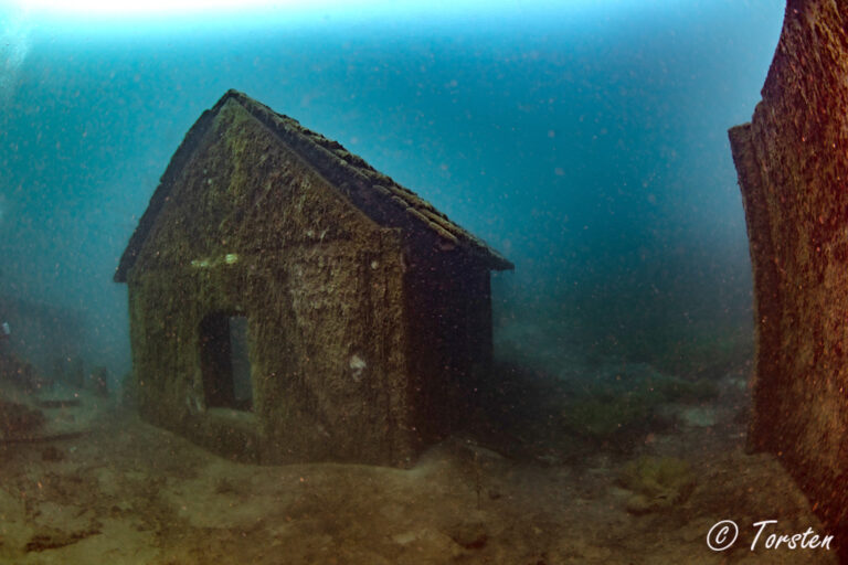 Wydarzenia nurkowe - Aquanautic