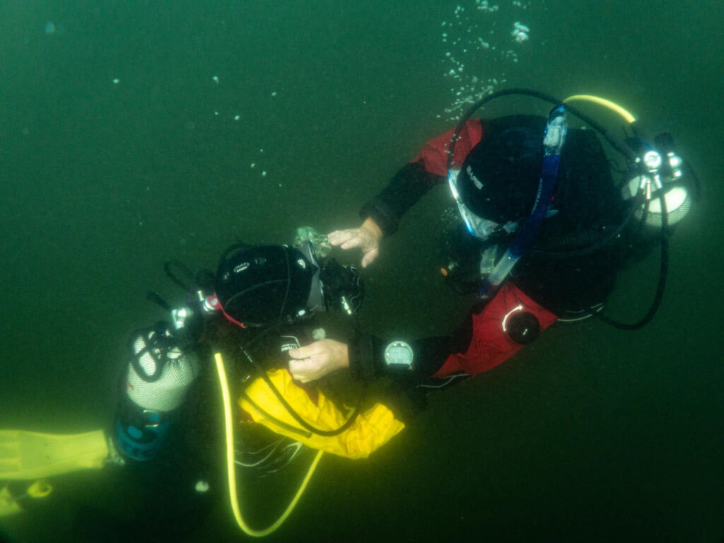 React Right,Diver Stress & Rescue - Aquanautic