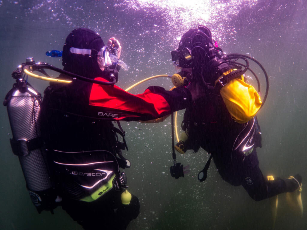 React Right,Diver Stress & Rescue - Aquanautic