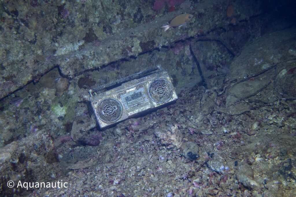 Safari nurkowe,Dalekie południe - Aquanautic